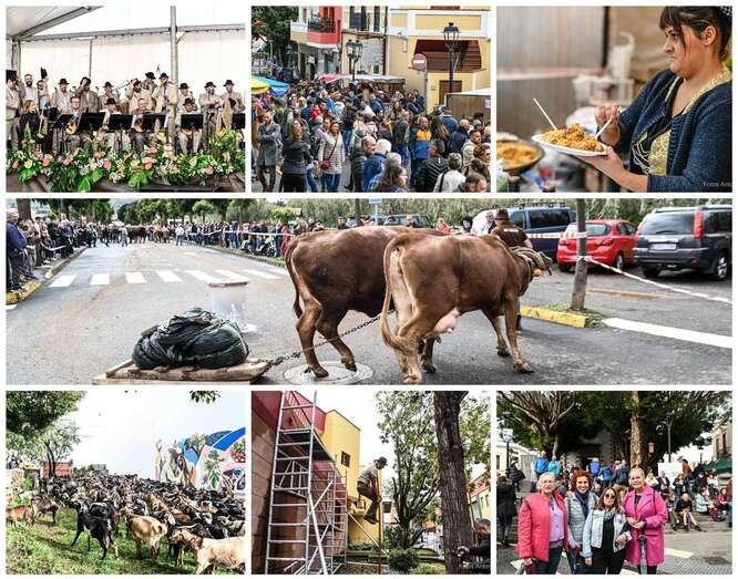 Imágenes del día grande del Almendrero en Flor este domingo en Valsequillo/Antonio Alí.